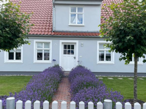 Haus Vicus Greifswald